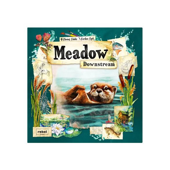 Meadow: Downstream - EN-