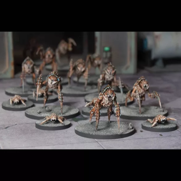 Death Fields: Harvesters - Alien Bugs miniatűra készlet - angol kiadás