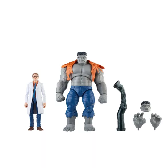 Hasbro Marvel Legends Series Gray Hulk and Dr. Bruce Banner-F70845L0