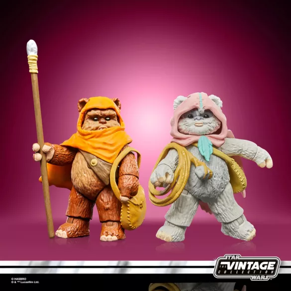 Star Wars The Vintage Collection Wicket & Kneesaa-F83005L0