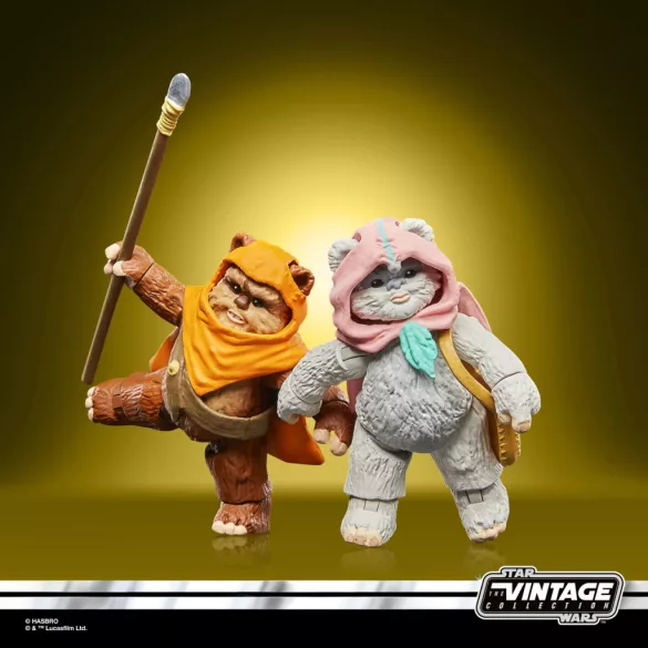 Star Wars The Vintage Collection Wicket & Kneesaa-F83005L0