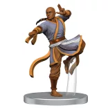 Pathfinder Battles: FotRP - Contenders and Champions Boxed Set-97548