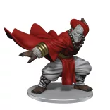 Pathfinder Battles: FotRP - Martial Arts Masters Boxed Set-97550