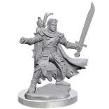 D&D Frameworks: Male Half-Elf Ranger-75077