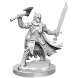 D&D Frameworks: Male Half-Elf Ranger-75077
