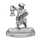 D&D Frameworks: Male Halfling Rogue-75081