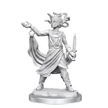 D&D Frameworks: Medusa-75096