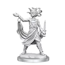 D&D Frameworks: Medusa-75096