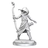 D&D Frameworks: Medusa-75096