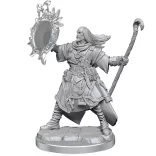 Pathfinder Legendary Cuts: Male Human Wizard-77000