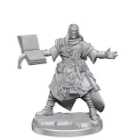 Pathfinder Legendary Cuts: Male Human Wizard-77000