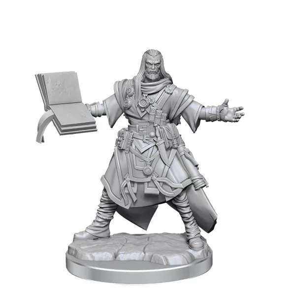 Pathfinder Legendary Cuts: Male Human Wizard-77000