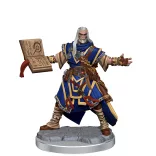 Pathfinder Legendary Cuts: Male Human Wizard-77000