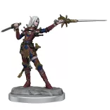 Pathfinder Legendary Cuts: Female Elf Rogue-77003