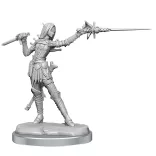 Pathfinder Legendary Cuts: Female Elf Rogue-77003