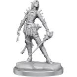 Pathfinder Legendary Cuts: Female Elf Rogue-77003