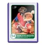 UP - 3" X 4" Purple Border Toploader 25ct-16160