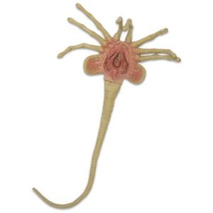 Alien - Foam Prop Replica - Life-Size Facehugger-NECA51355