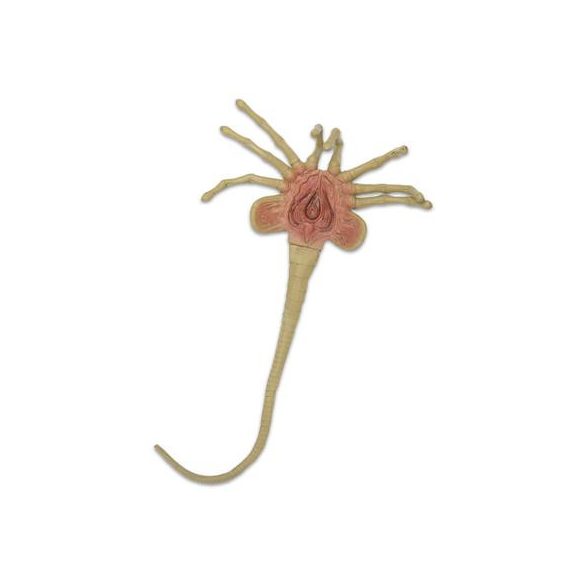 Alien - Foam Prop Replica - Life-Size Facehugger-NECA51355
