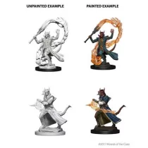 D&D Nolzur’s Marvelous Miniatures: Tiefling Male Sorcerer-73201