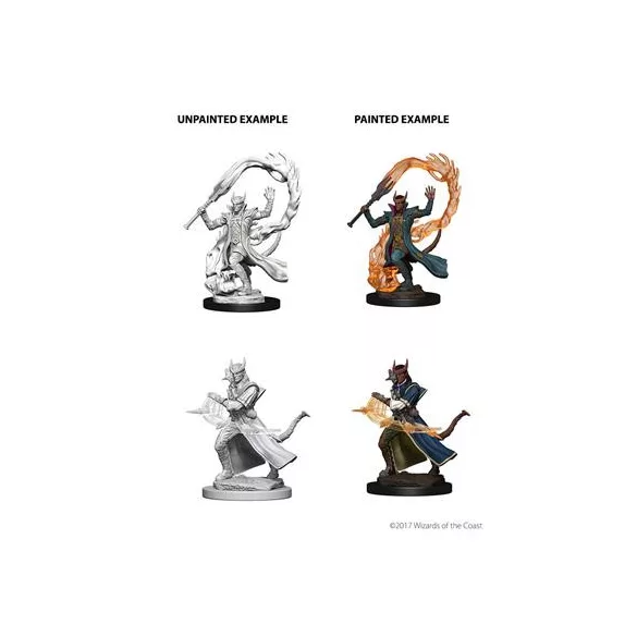 D&D Nolzur’s Marvelous Miniatures: Tiefling Male Sorcerer-73201