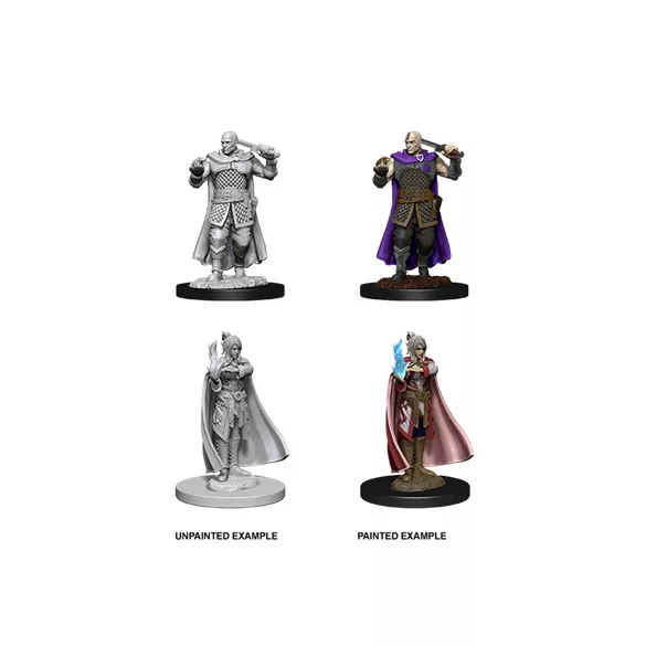 D&D Nolzur’s Marvelous Miniatures: Human Ranger & Moon Elf Sorcerer-73675