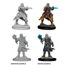 Pathfinder Battles Deep Cuts: Male Human Wizard-WZK73411