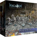 Battle Systems - Maladum: Dungeons of Enveron Starter Set - EN-BSGMDC001