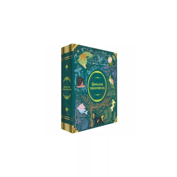 Csodálatos teremtmények BONTOTT társasjáték