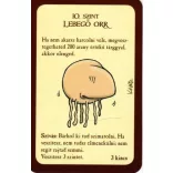 Munchkin 1 - Alap játék