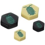 Hive pocket kiegészítő - Pincebogár (Pillbug)