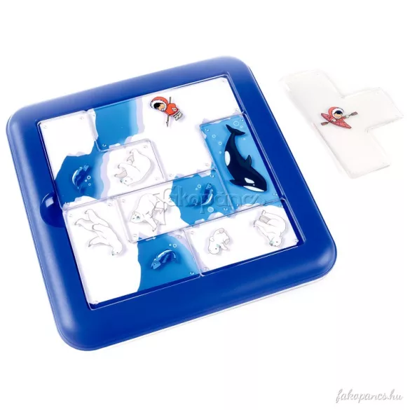 Északi sark Expedíció