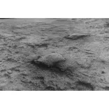 Kraken Wargames Gaming Mat - Ashen Moon 44"x60" 2.0