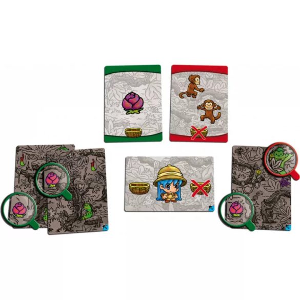 Fedezzük fel! A Dzsungel