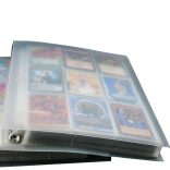 Kártyatartó mappa (bővíthető kártya tartó mappa - A4)