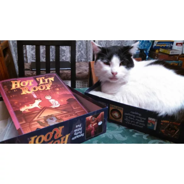Hot Tin Roof: Cats Just Want to Have Fun (eng)