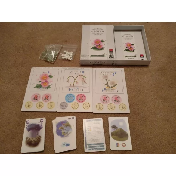 Petrichor: Flowers Exp. (eng)