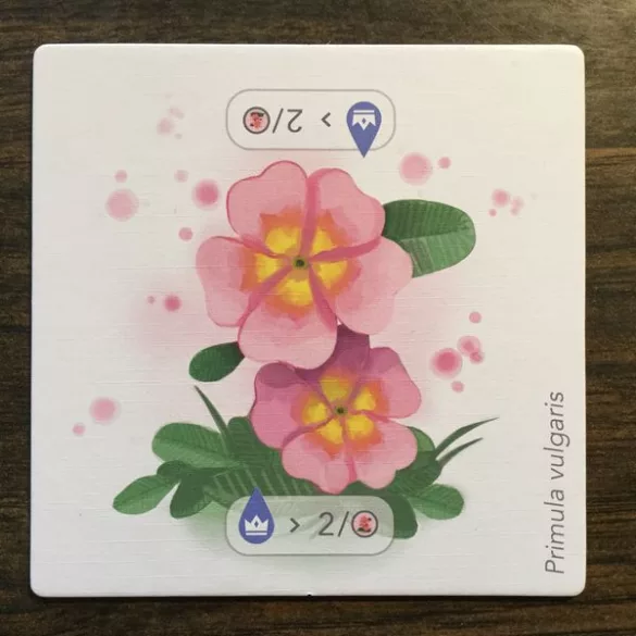 Petrichor: Flowers Exp. (eng)