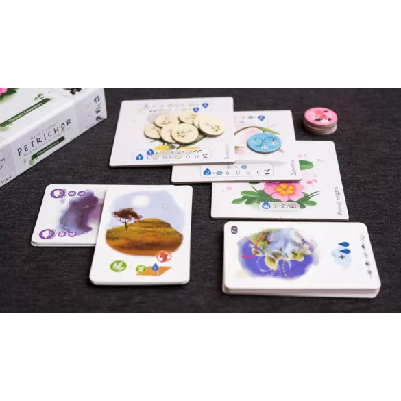 Petrichor: Flowers Exp. (eng)